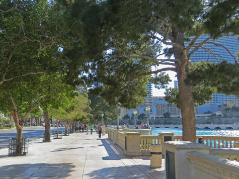 Green Spaces in Las Vegas